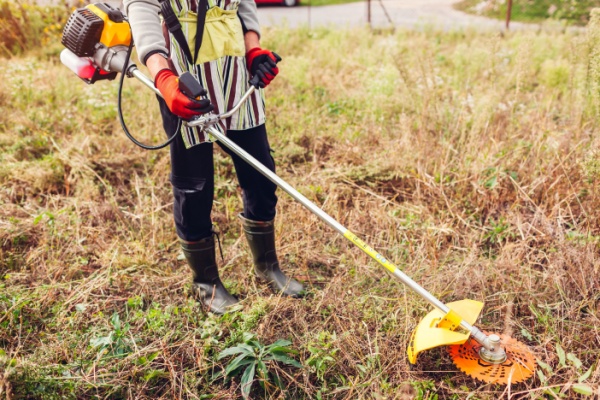 Illustration de l'article Incendies de forêt : plus d’informations pour une meilleure prévention !