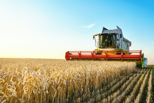 Illustration de l'article Métiers en tension : l’ajout (attendu) des métiers agricoles